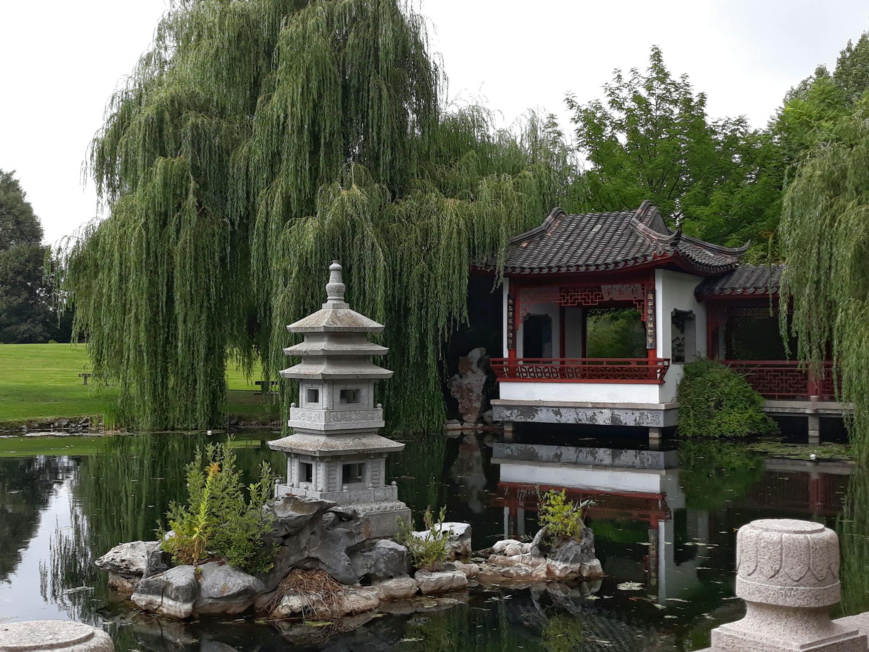 Kostenloses Stock Foto zu berlin, botanisch, deutschland