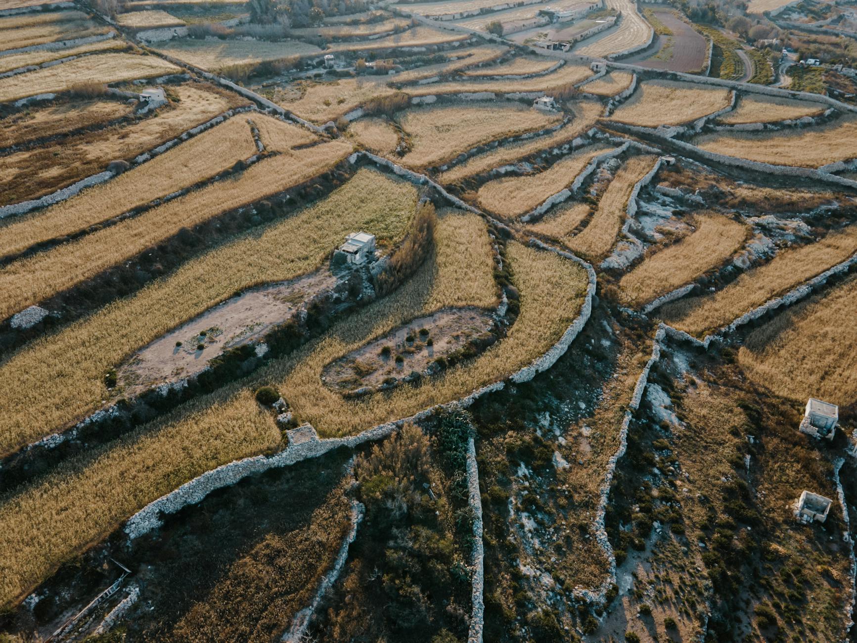 Kostenloses Stock Foto zu acker, drohne erschossen, feld